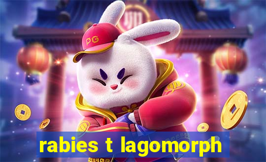 rabies t lagomorph