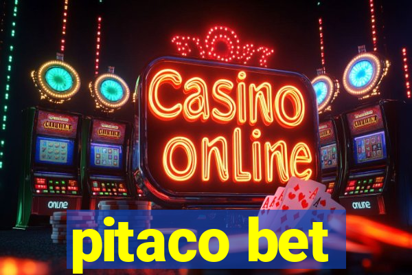 pitaco bet