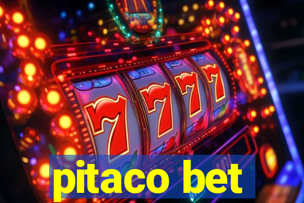 pitaco bet