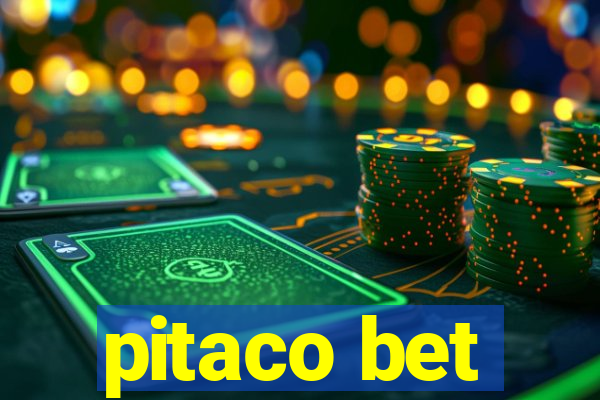 pitaco bet