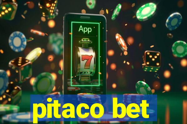 pitaco bet