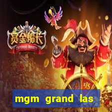 mgm grand las vegas hotel and casino