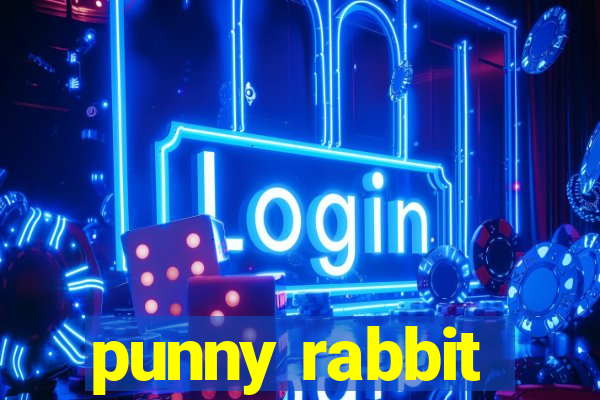 punny rabbit