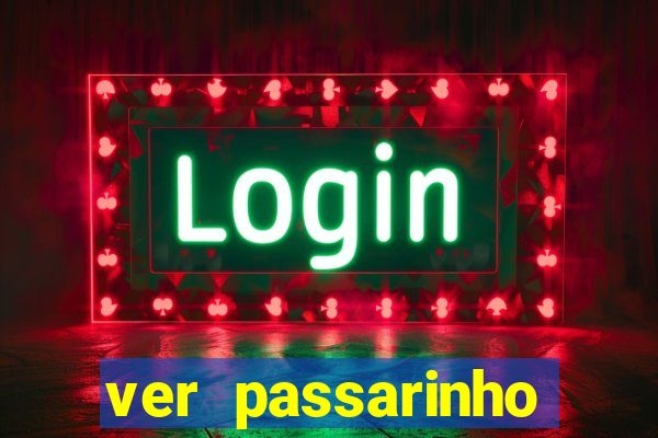 ver passarinho morto significado