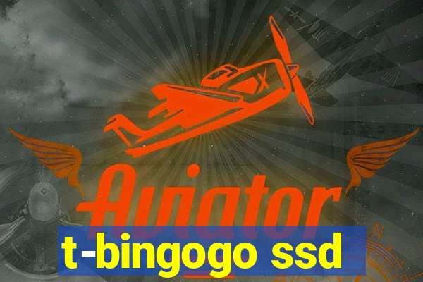 t-bingogo ssd