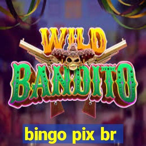 bingo pix br