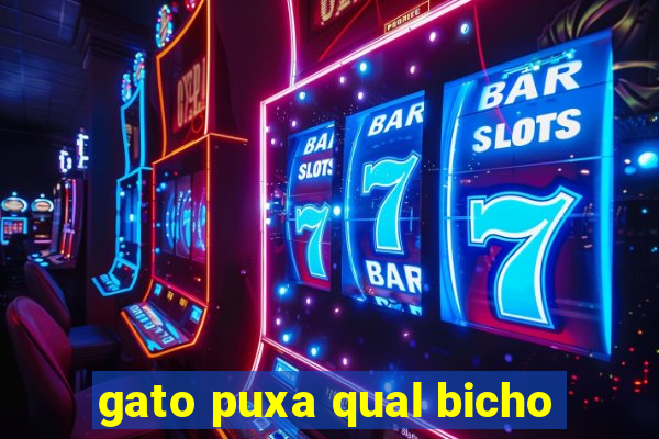 gato puxa qual bicho