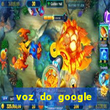 voz do google tradutor homem