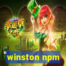 winston npm