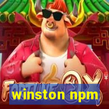 winston npm