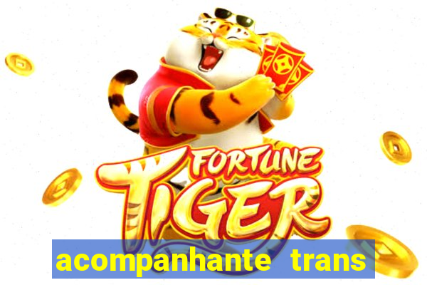 acompanhante trans santos sp