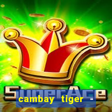 cambay tiger - seafood & meat