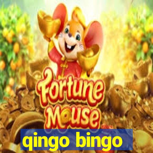 qingo bingo