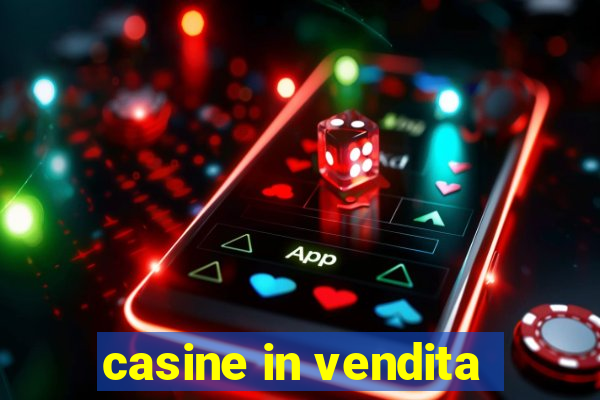 casine in vendita