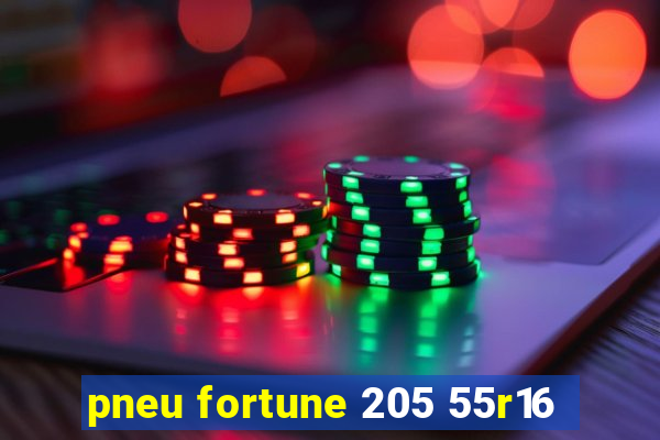 pneu fortune 205 55r16