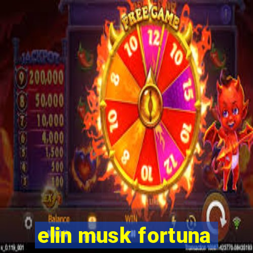 elin musk fortuna