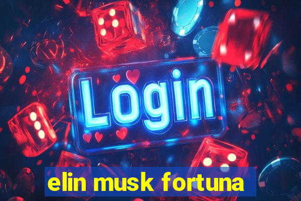 elin musk fortuna