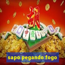 sapo pegando fogo