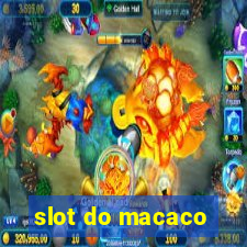 slot do macaco