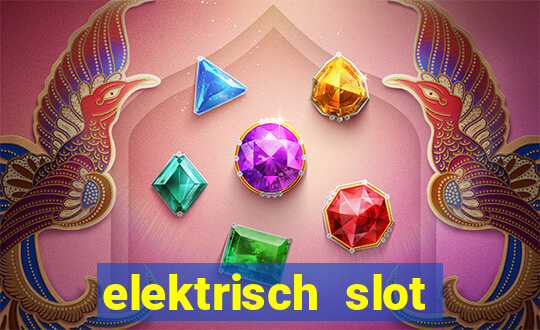 elektrisch slot houten poort