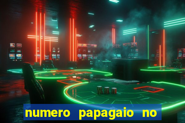 numero papagaio no jogo do bicho