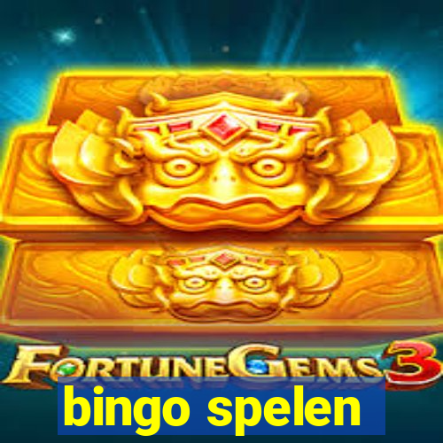 bingo spelen