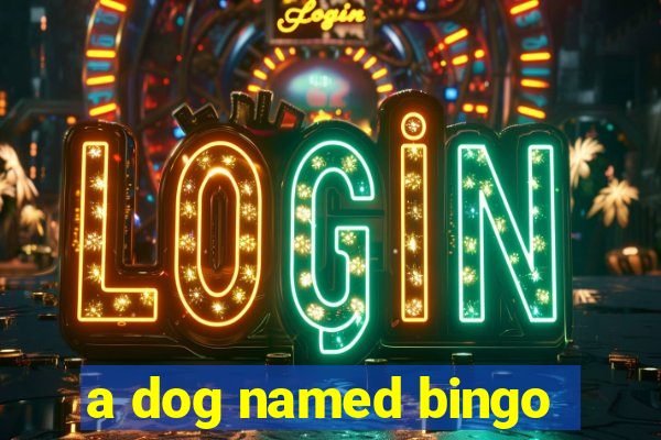 a dog named bingo