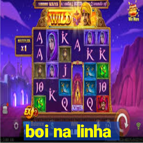 boi na linha