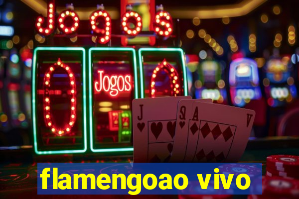 flamengoao vivo