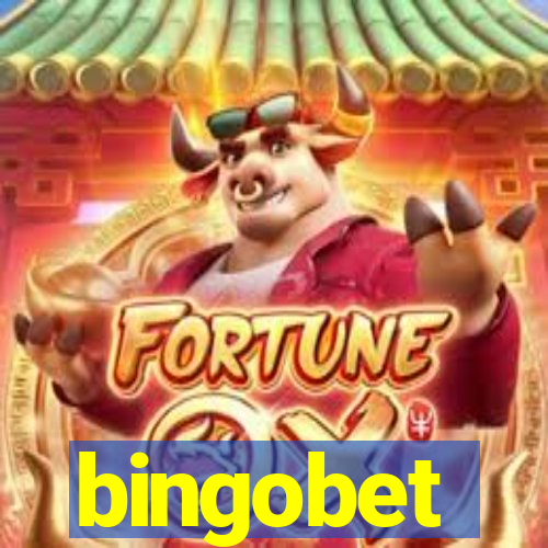 bingobet