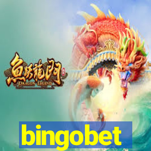 bingobet