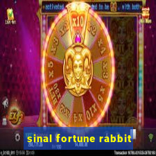 sinal fortune rabbit