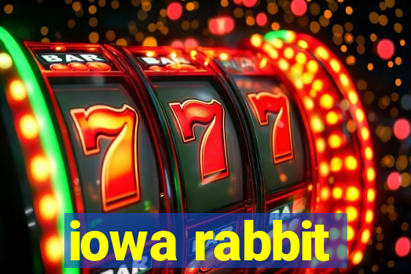 iowa rabbit