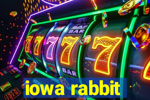 iowa rabbit