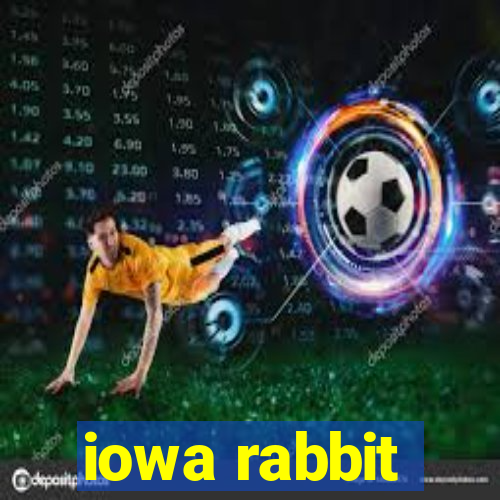 iowa rabbit