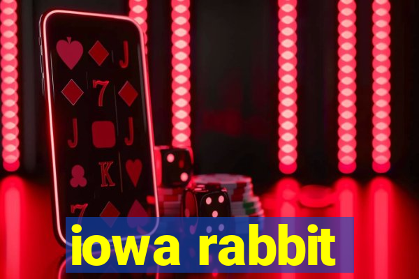 iowa rabbit