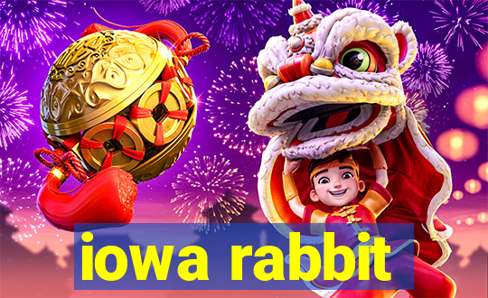 iowa rabbit