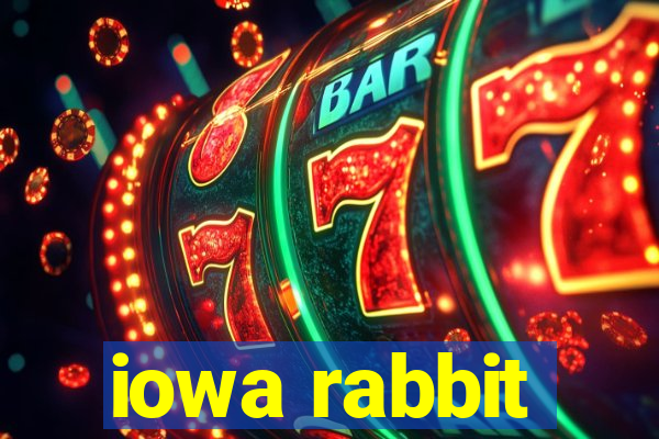 iowa rabbit