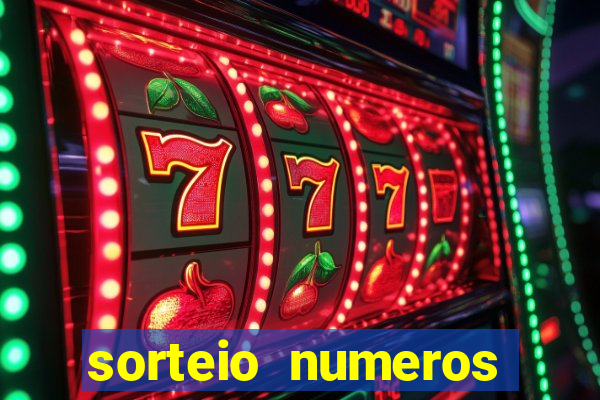 sorteio numeros bingo online