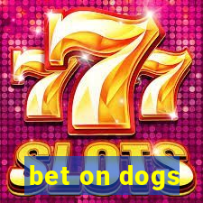 bet on dogs