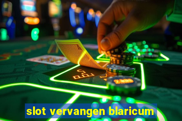 slot vervangen blaricum