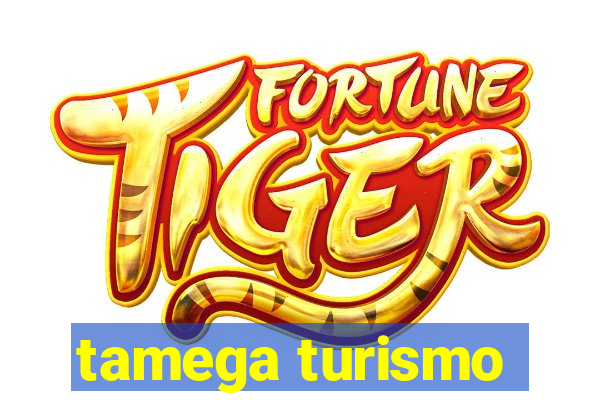 tamega turismo