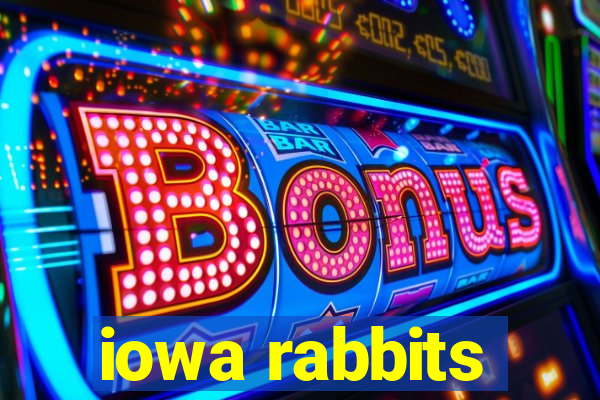 iowa rabbits