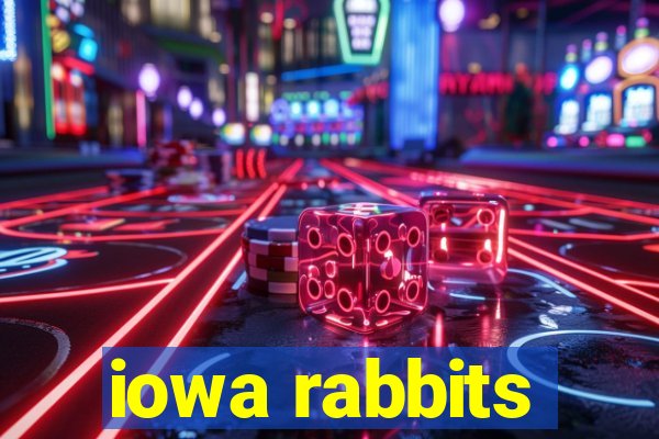 iowa rabbits