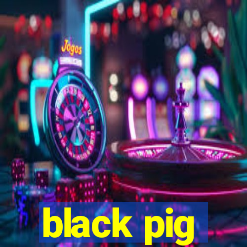 black pig