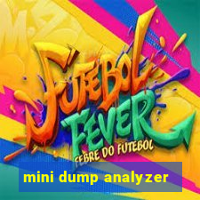 mini dump analyzer