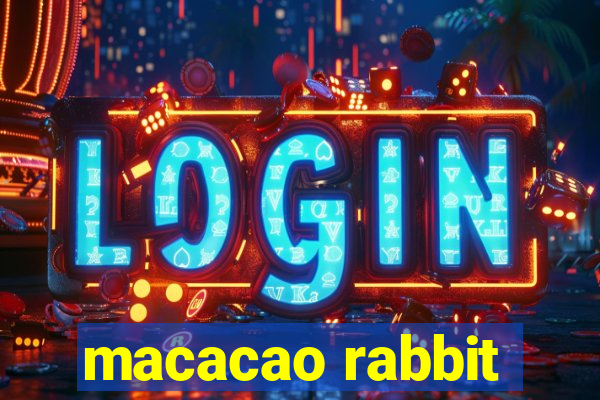 macacao rabbit