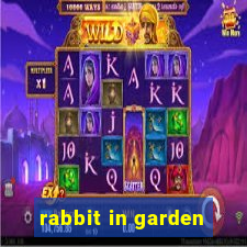 rabbit in garden