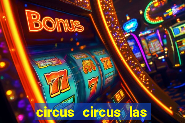 circus circus las vegas casino