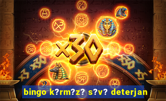 bingo k?rm?z? s?v? deterjan